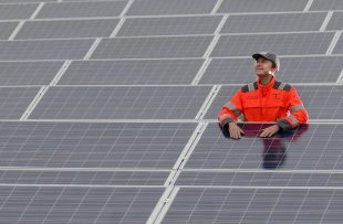 A worker standing in solar farm